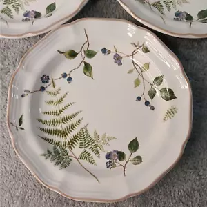4er Set Vintage Mikasa Heritage Blaubeerfarn 8" Salatteller - Bild 1 von 6