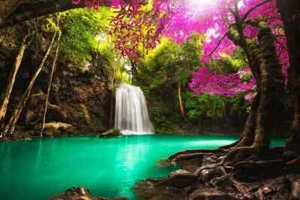 Beautiful Waterfall in Tropical Forest Photo Art Print Poster - Picture 1 of 2
