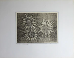 GEROLDINE DÖRPINGHAUS - Edelweiß (1983). Handsignierte Radierung. - Bild 1 von 4