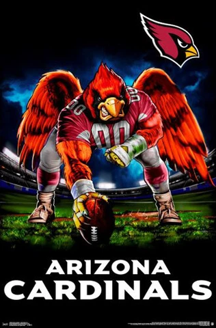 Arizona Cardinals FEROCIOUS FOOTBALL NFL Football Theme Art Wall POSTER Cover