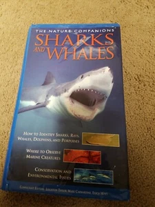 Sharks and Whales by Chain Sales Marketing - Imagen 1 de 4