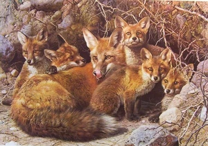 Casa completa Carl Brenders - Familia Fox - Imagen 1 de 1
