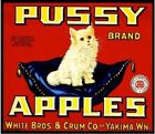 Pussy Brand Apples Yakima Washington State White Cat Fruit Crate Label Print