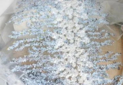 Vestido Falda Ropa Tela Flor Tela Chifón Textura Flor Azul Organza 3D Foto 1 de 4