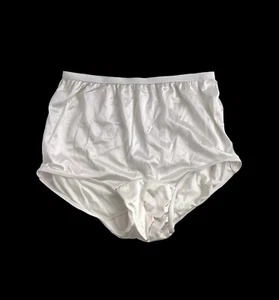 Vintage Carole Granny Panties Nylon Second Skin Lace Waist Sissy Size 5 - Picture 1 of 8
