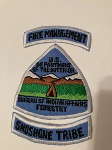 Bureau of Indian Affairs Forstwirtschaft Aufnäher - Shoshone Stamm - Bild 1 von 1