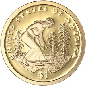 2009 S Native American Sacagawea Dollar Gem DCam Proof - Picture 1 of 6