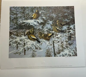 Owen Gromme Evening Grosbeaks Firmado ��Numerado 172/500 - Impresión The Gromme Master - Imagen 1 de 15