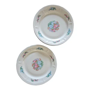 Vintage Spring Meadow Stoneware 10 5/8" Dinner Plates Lot of 2 Floral READ - Picture 1 of 5