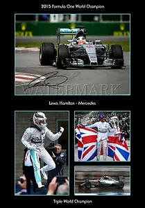 LEWIS HAMILTON SIGNIERTES DRUCKPOSTER FOTO TRIBUTE MERCEDES DREIFACHER WELTMEISTER - Bild 1 von 2