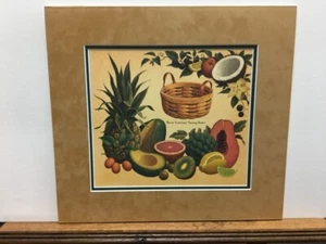 Cesta de darning Longaberger botánica serie mayo y estampado artístico enmarañado de frutas - Imagen 1 de 1