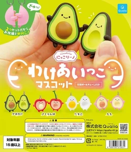 Niccolino Wakeaikko Mascota Juego de 4 Comp Completo Gacha Gacha Cápsula Juguete Japón - Imagen 1 de 1