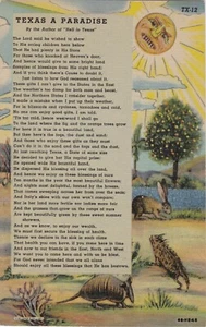 Postcard Texas A Paradise Poem Linen Unposted Armadillo  - Picture 1 of 2