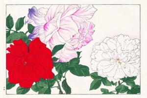 Rose - Bild 1 von 3