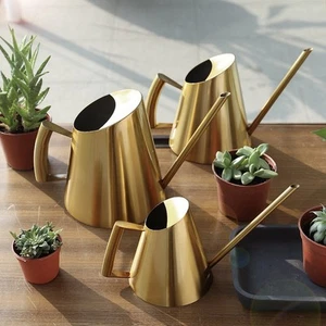 Aesthetically Pleasing Stainless Steel Watering Can with Extended Spout - Photo 1/69
