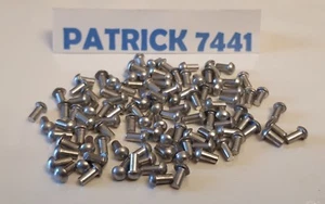 🇲🇫 DINKY TOYS Lot de 100 rivets Alu . Corgi toys /Cij / JRD / Solido ...... - Imagen 1 de 3