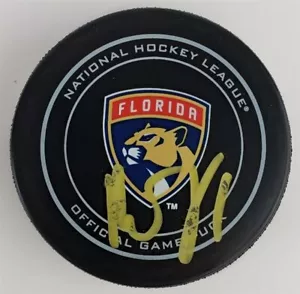 Roberto Luongo Signed Florida Panther Logo Hockey Puck (JSA COA) All Star Goalie - Picture 1 of 5
