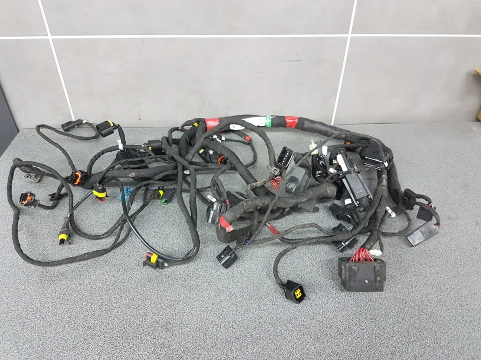 5101A6411D IMPIANTO ELETTRICO DUCATI HYPERMOTARD 939 2016 1458 KM Foto 1 de 1