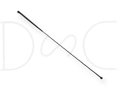 Mástil de antena de radio AM/FM Ford F250 F350 Super Duty 99-07 OEM Foto 1 de 4