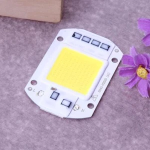 50W LEDs Floodlight Lighting COB Chips 220V Input Integrated Smart IC Drivers - Picture 1 of 7