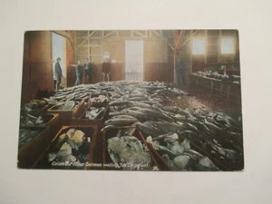 Postcard Columbia River Salmon waiting for Shipment Fish  - Bild 1 von 2