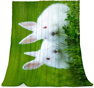 Soft Throw Blanket for Couch,Decorative Blanket,Microfiber Blankets,Blankets for - Picture 1 of 12