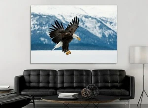 Bald Eagle | Eagle Charm | Eagle | Beautiful Canvas Painting Print Unframed - Picture 1 of 2