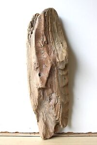 Treibholz Schwemmholz Driftwood  1  Skulptur Basteln Dekoration 39 cm **299**