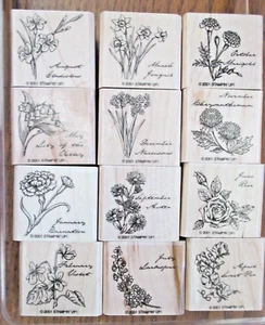 Stampin UP montiert! "BLUME DES MONATS" 12er Set Holzstempel ZURÜCKGENOMMEN - Bild 1 von 3