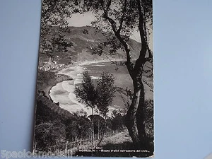 CARTOLINA MONEGLIA RIVIERA NDEGLI OLIVI - Picture 1 of 1