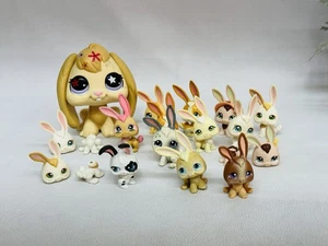 Littlest Pet Shop (LPS) Jumbo Gigante XXL Orejas Flojibles Y Lote 16 LEER - Imagen 1 de 9