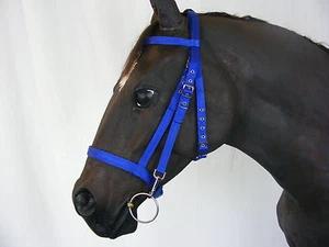 Briglia scuola ufficiale Libby's in pony cob completa o extra completa - cavallo equino - Foto 1 di 3