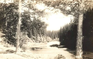 Postcard RPPC California CA Eel River Humboldt County Redwood Highway 1950s - Picture 1 of 1