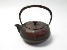 Japanese antique vintage Nambu Iwachu cast iron Kyusu small teapot
