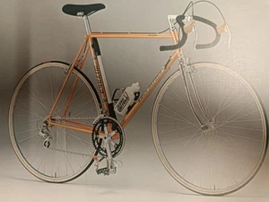 KOGA MIYATA PRO RACER 1979 Rennrad Profirad racebike - Bild 1 von 23