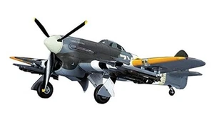 Hasegawa 1/48 Igi squirrel Air Force Typhoon Mk.IB with water droplet windshield - Picture 1 of 6