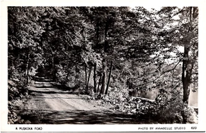 A Muskoka Road Scenic Forest View Ontario Canada 1930s RPPC Postcard Photo - Picture 1 of 2