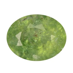 1.40ct Superb Oval 7.4 x 5.9 MM 100% Natural Green Mozambique PARAIBA TOURMALINE - Picture 1 of 5