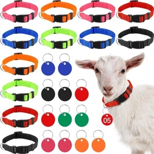 Paquete de 12 collares de cabra con etiqueta numérica ajustable collar de ganado de nailon con N... - Imagen 1 de 6