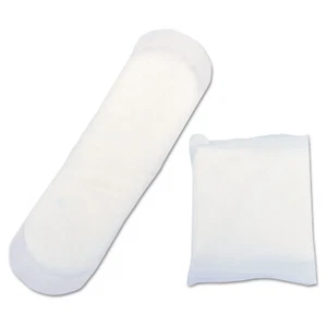 Hospeco Maxithins Sanitary Pads, 250/Carton - Picture 1 of 1