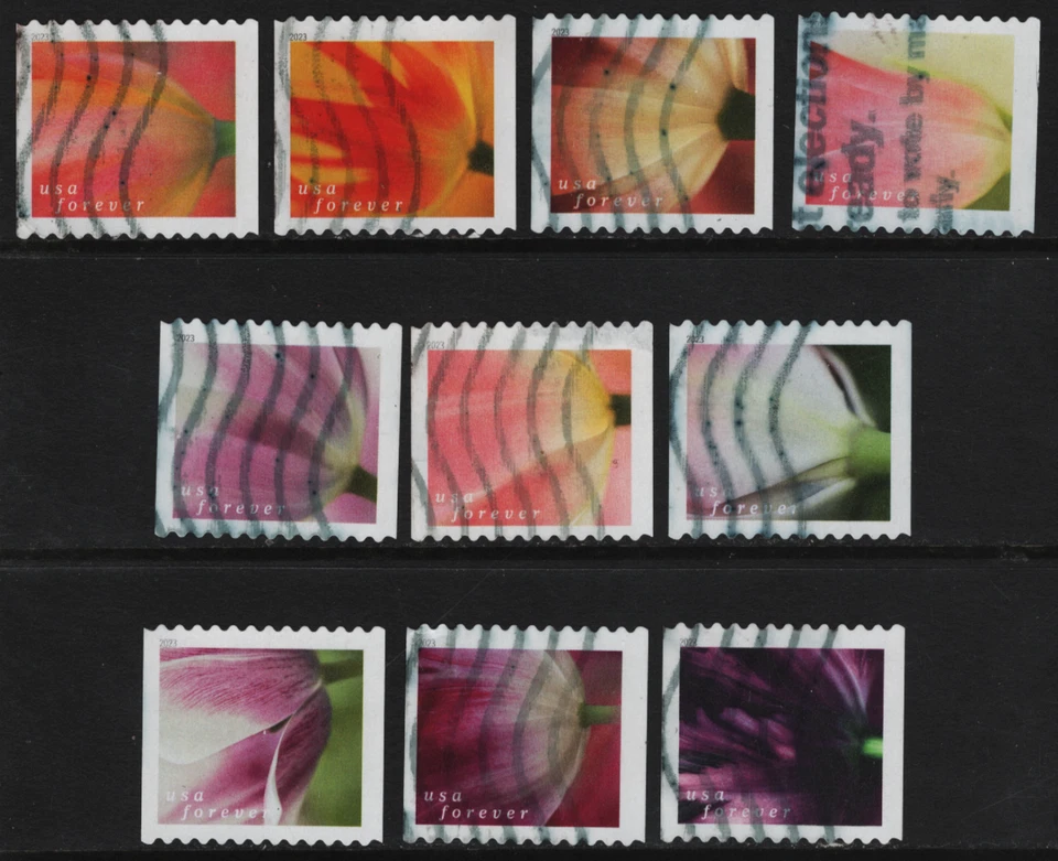 OFF paper #5767-76 Tulip Blossoms-coil (used set of 10) Forever 2023 – f368 - Image 1 of 1