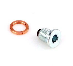 TAPPO MAGNETICO SCARICO OLIO TORX M14 x 1.50 lunghezza filetto + magnete 15mm - Foto 1 di 2