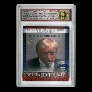 Donald Trump Mugshot Collect Card US 45th President Prison Photo Art Crafts - Zdjęcie 1 z 12