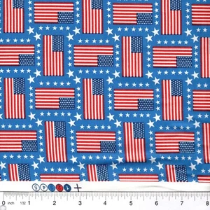 Tela 100 % algodón Star Borders alrededor de las banderas de los Estados Unidos - ELIGE EL TAMAÑO - Imagen 1 de 1