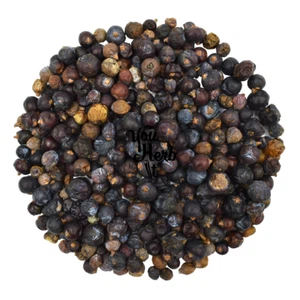 Juniper Berry Whole Dried Berries 25g-200g - Juniperus Communis L. - Picture 1 of 3