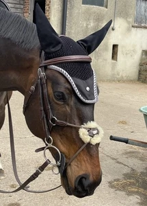 Equipe No Stress Elastic Grackle Bridle Full Size - Picture 1 of 6