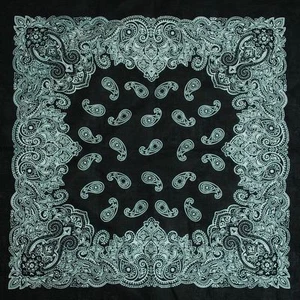 3-Pack Hombres Mujeres HipHop Diadema Bandana Algodón Pañuelo Pañuelo Ameba - Imagen 1 de 1