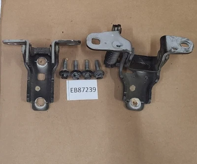 OEM 2010-2018 Dodge Ram 1500 2500 conductor delantero izquierdo bisagras par bisagras rojo Foto 1 de 4