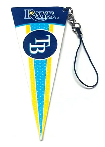 TAMPA BAY RAYS PENNANT TEAM DANGLER MINI FELT 4" LONG NEW MLB BASEBALL LICENSED Cover