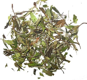 Organic WhiteTea White Peony Loose leave Tea Premium White Tea 1/2 LB - Picture 1 of 2